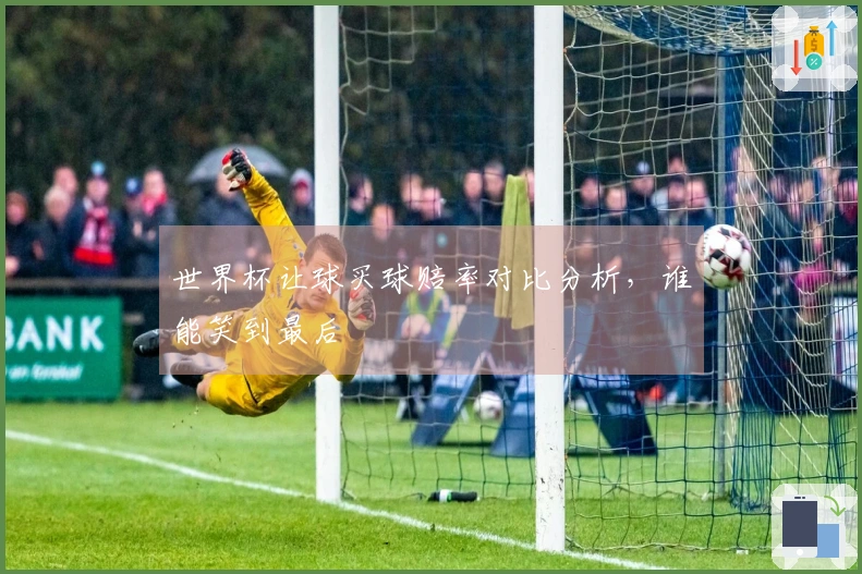 世界杯让球买球赔率对比分析，谁能笑到最后