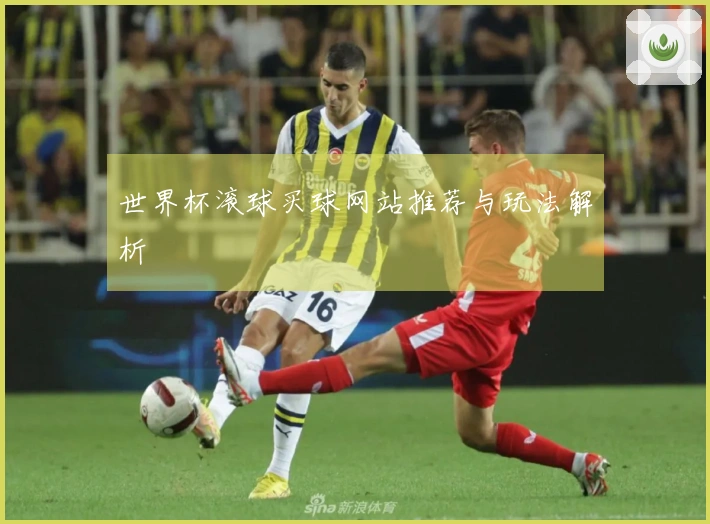 世界杯滚球买球网站推荐与玩法解析