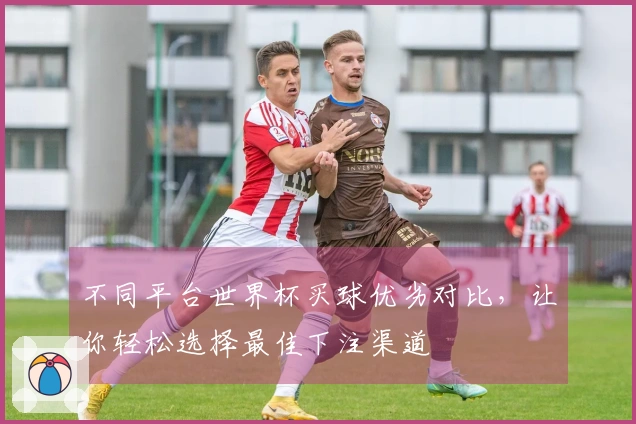 不同平台世界杯买球优劣对比，让你轻松选择最佳下注渠道