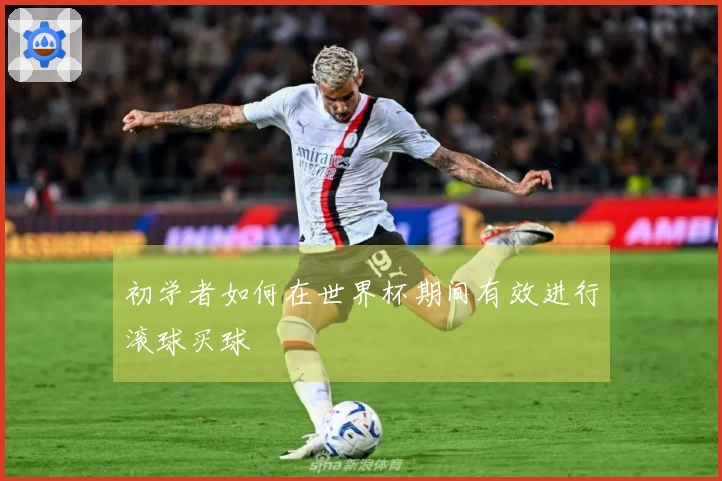 初学者如何在世界杯期间有效进行滚球买球