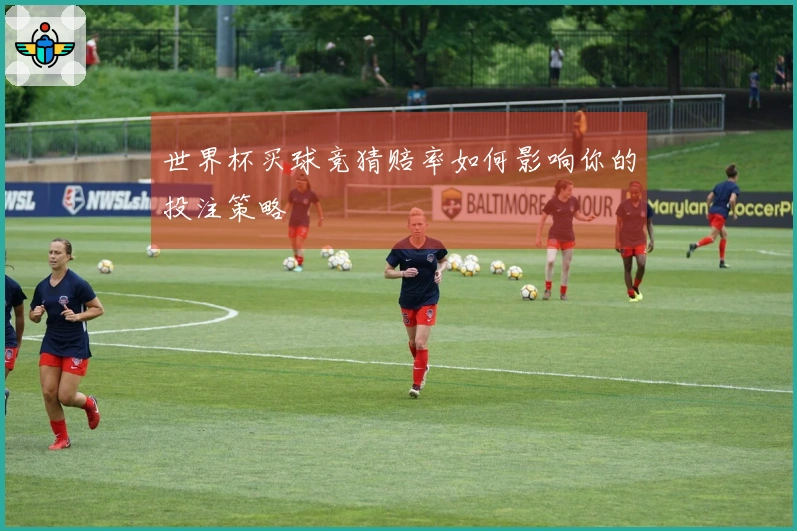 世界杯买球竞猜赔率如何影响你的投注策略