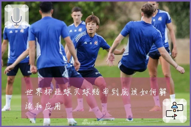 世界杯让球买球赔率到底该如何解读和应用