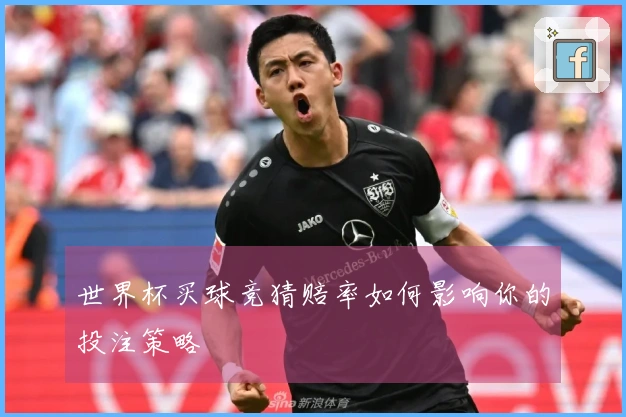 世界杯买球竞猜赔率如何影响你的投注策略